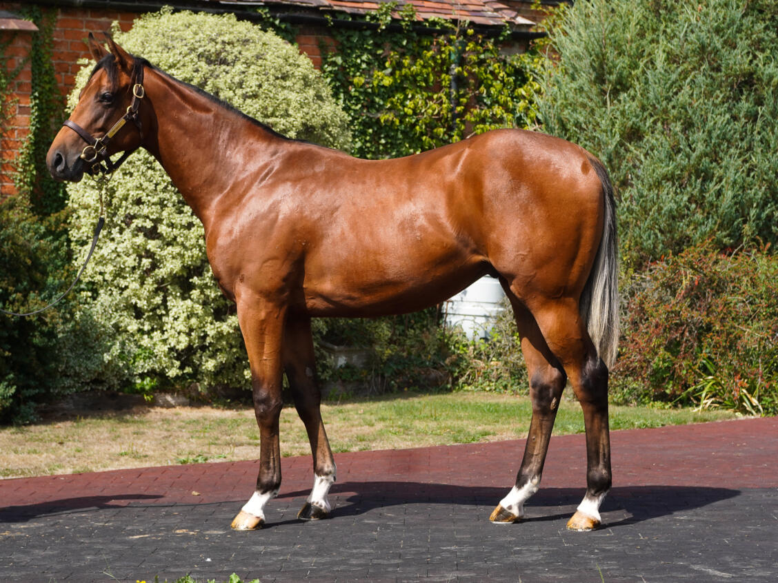 405 Zoustar x Time Scale