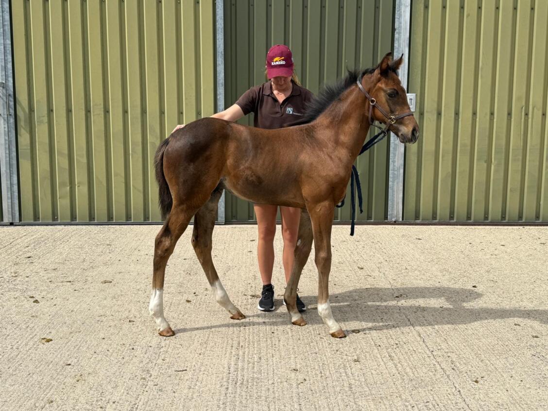 Shaquille x Rapture 25 colt 01 07 2025