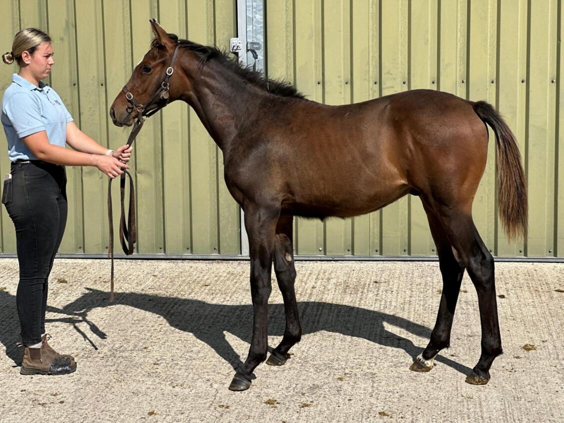 Kameko x Future 24 colt 02 09 24