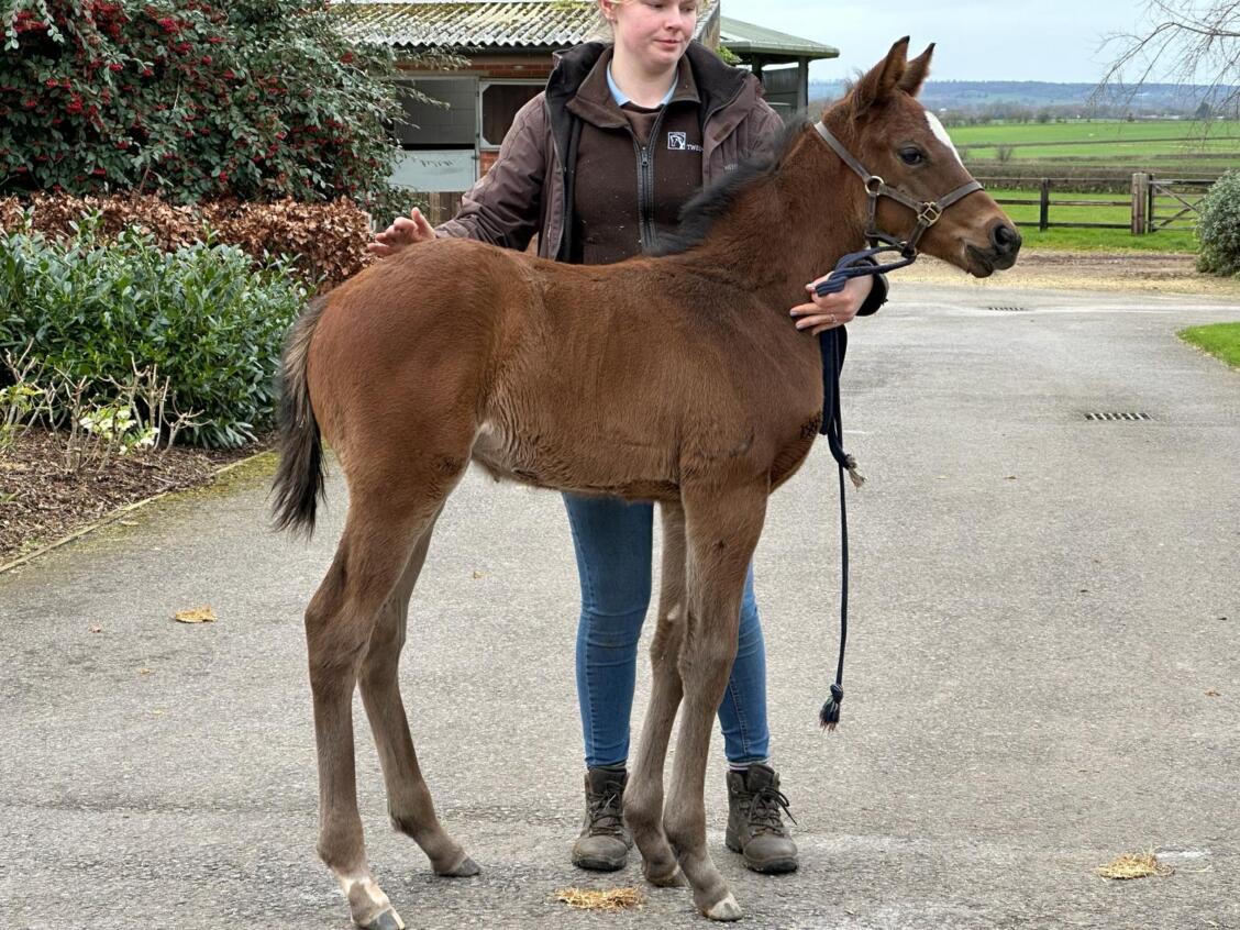 Kameko x Future 24 colt 04 03 24