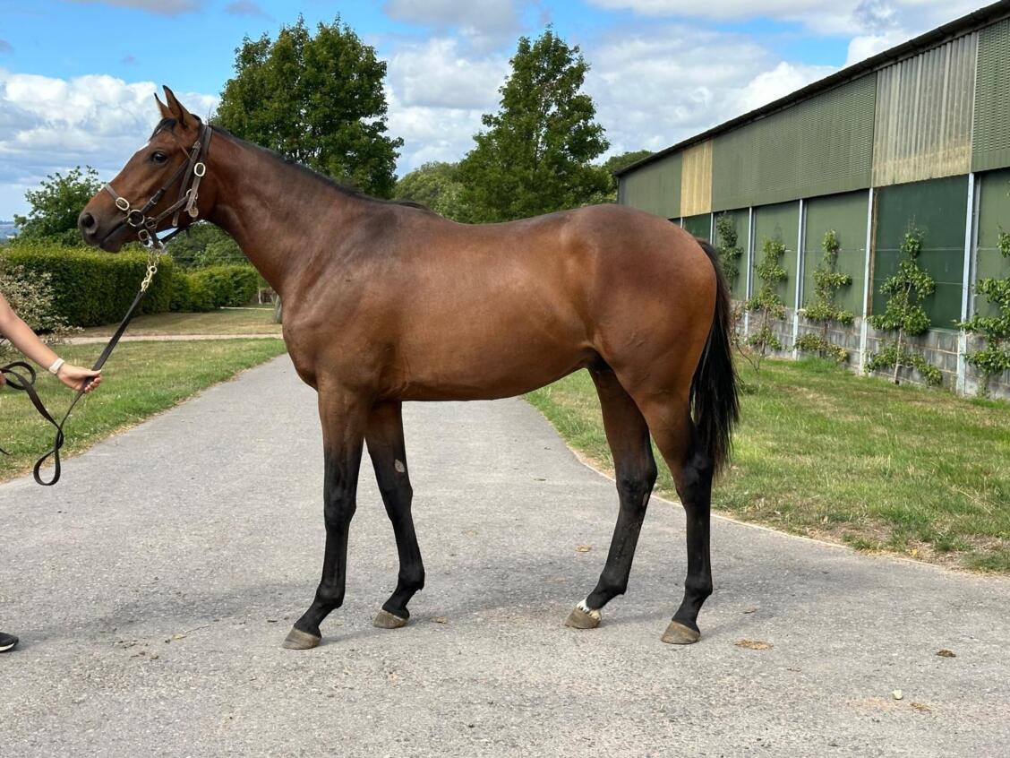 Kameko x Future24 colt 14 08 25