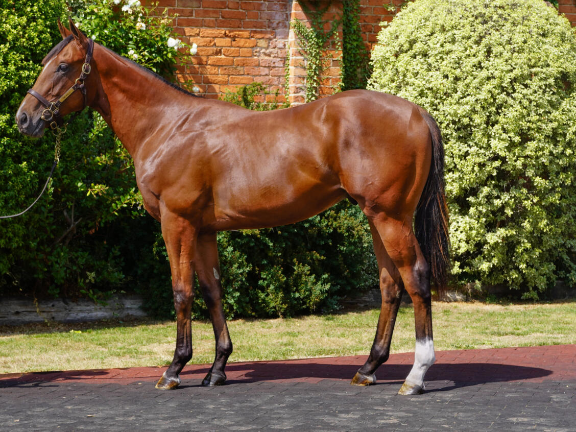 Lightening Pearl low res