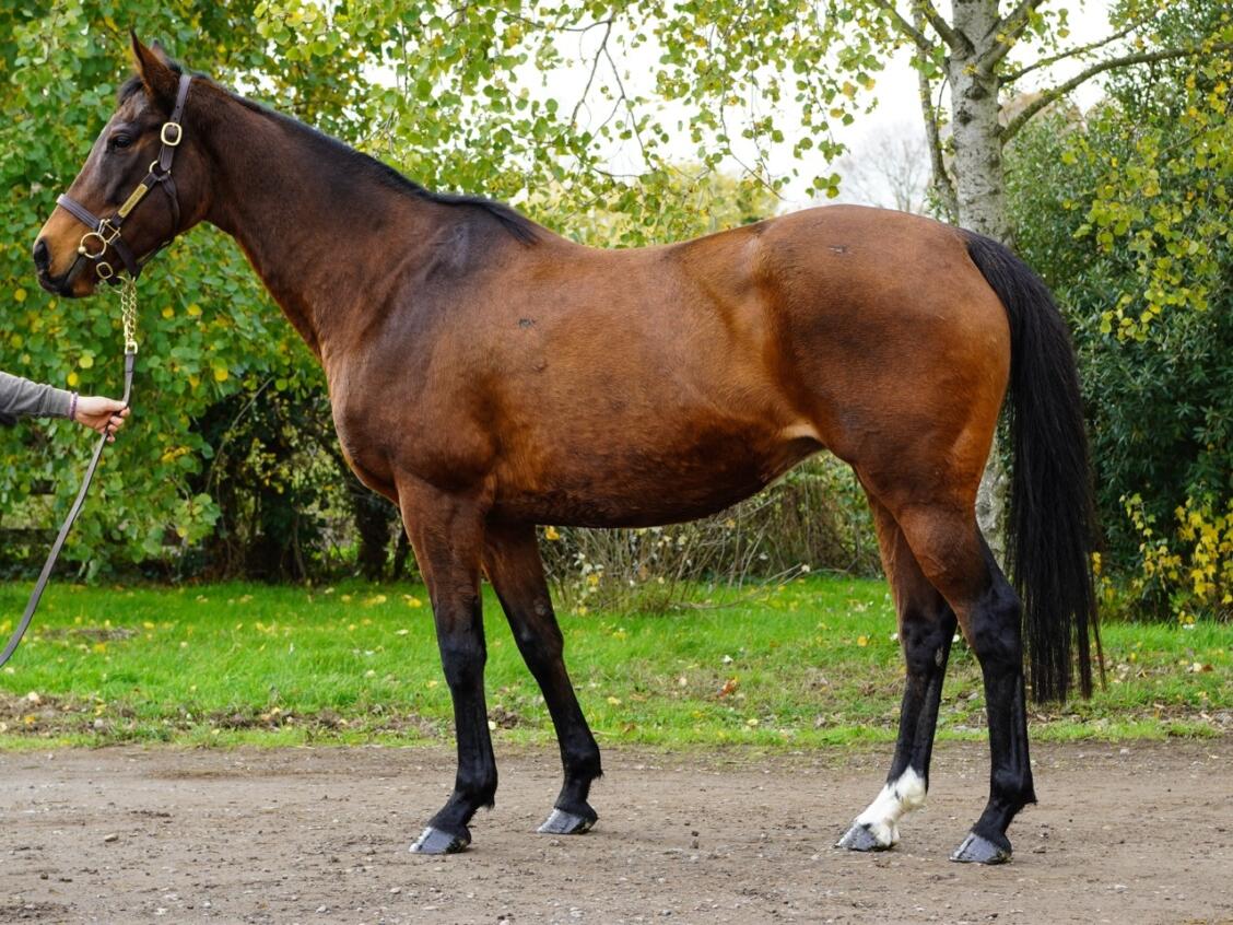 Lot 1322 Game And Set Consignor Large