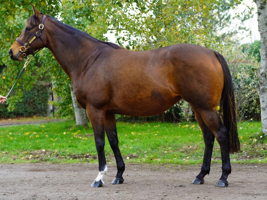 Lot 1592 Time Scale Consignor Large