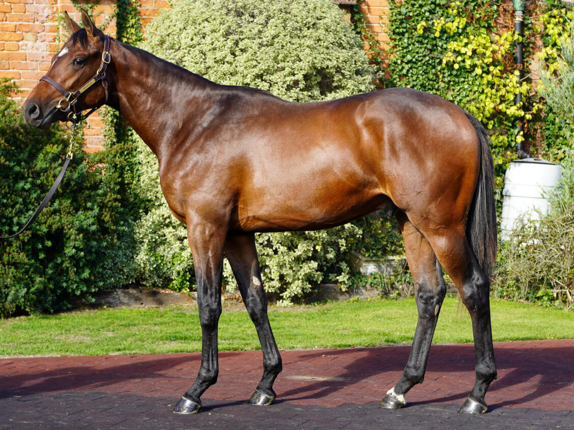 Lot 821 Kameko x Future