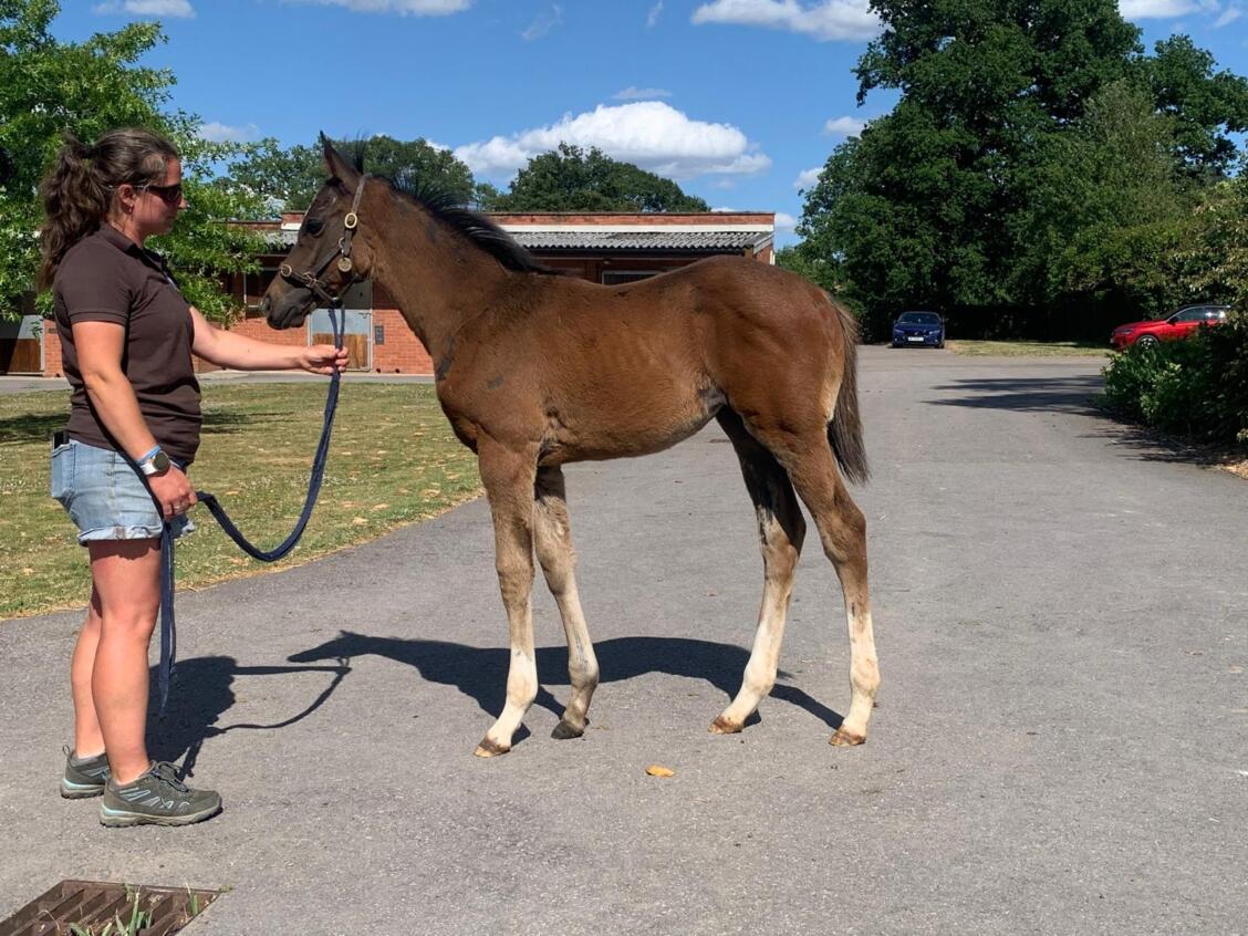 Make Believe x Eternal Light 25 01 07 2025