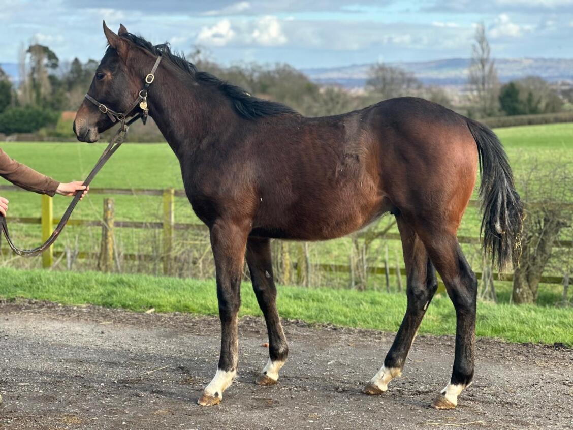 Miss Nay Never 24 25 02 25