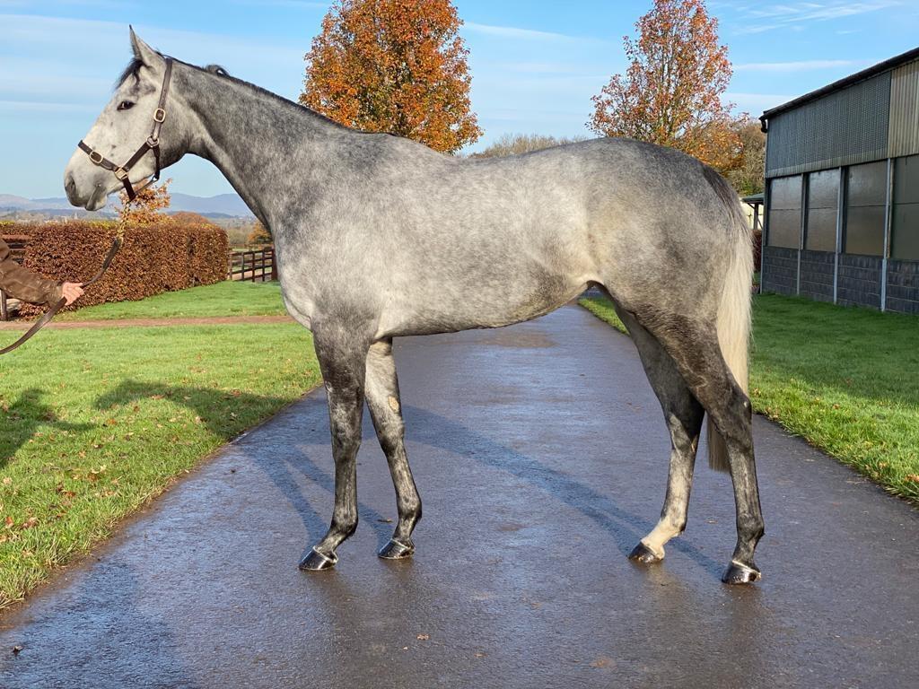 PHOTO 2020 11 22 10 42 41