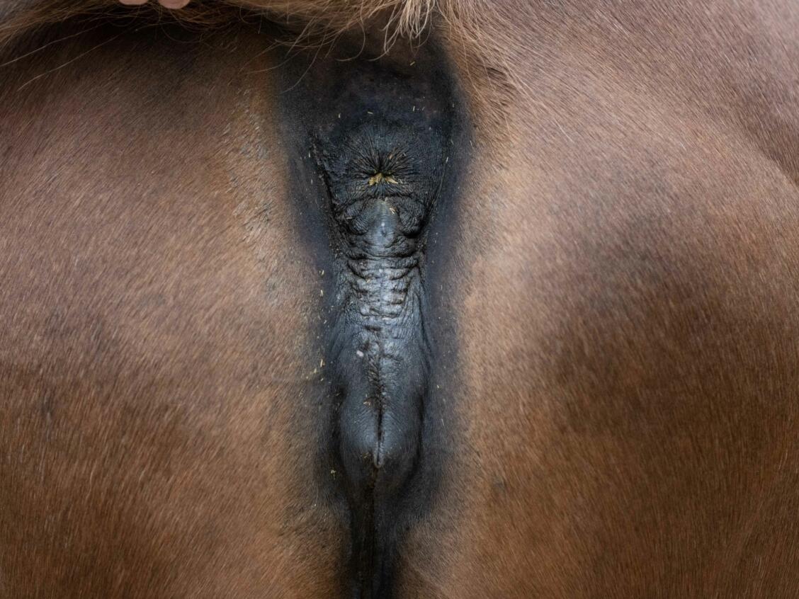 Strawberry Martini 2