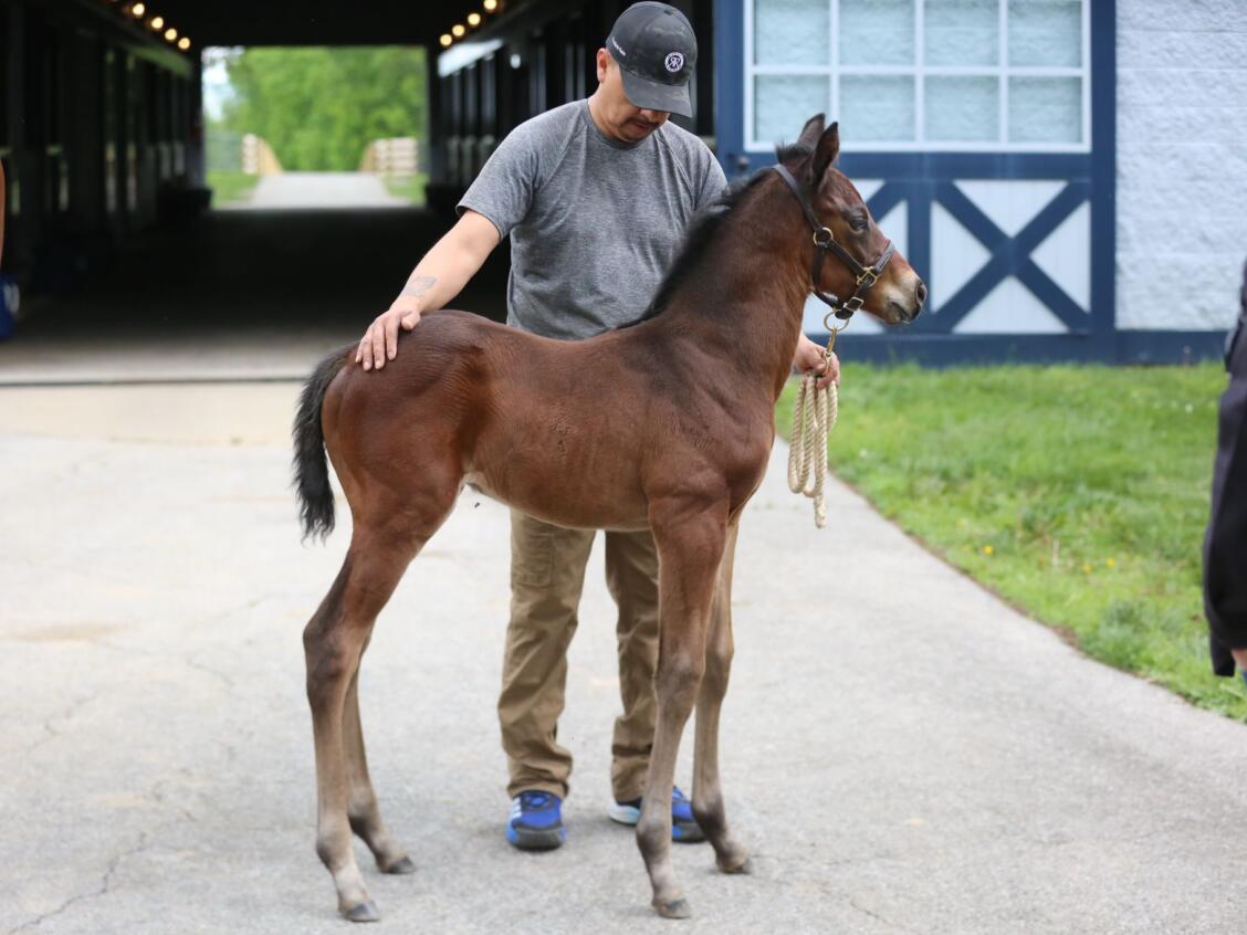 Whats App Image 2025 10 01 at 15 38 35