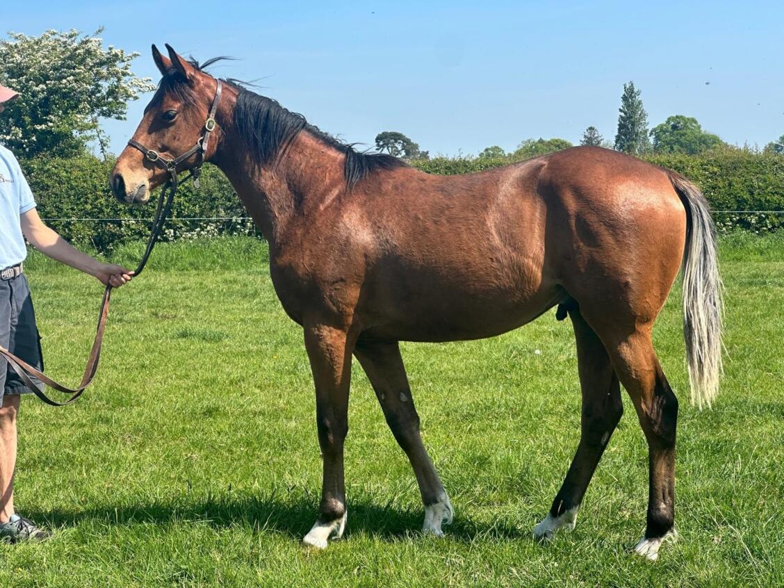 Zoustar x Time Scale24 colt 30 04 2025