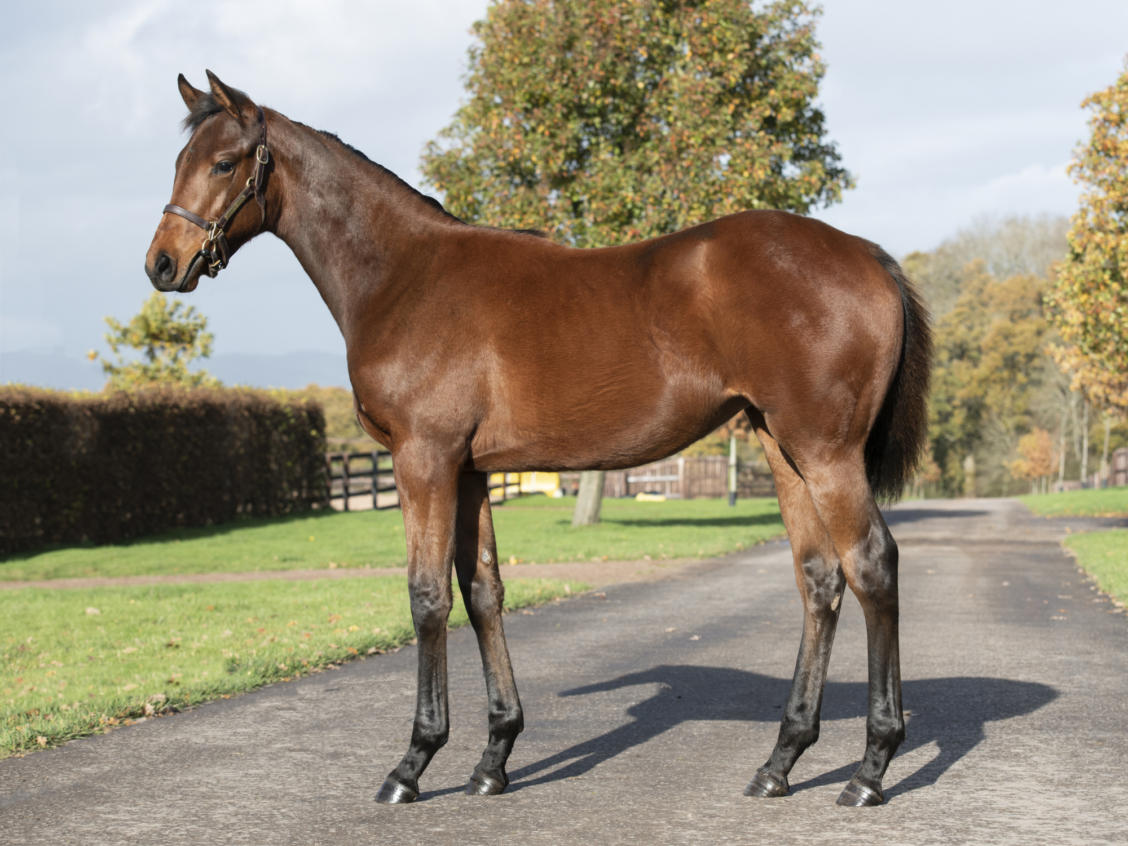Lot 694 ROEDEAN