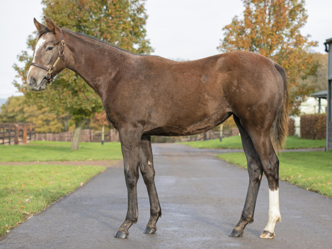 Lot 923 GREAT COURT