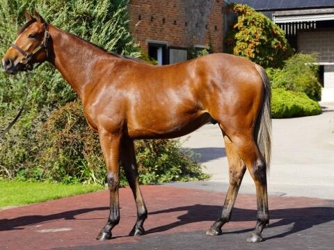 2024 Nathaniel x Game and Set