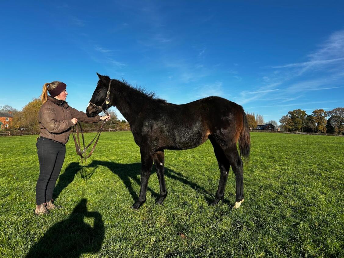 Kameko x Diamonds Pour Moi 25 colt 21 11 2025