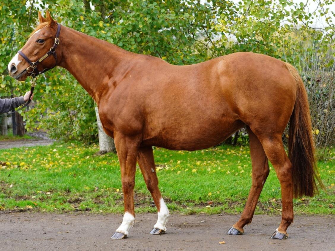 Lot 1320 Outoftheflames 3 Large