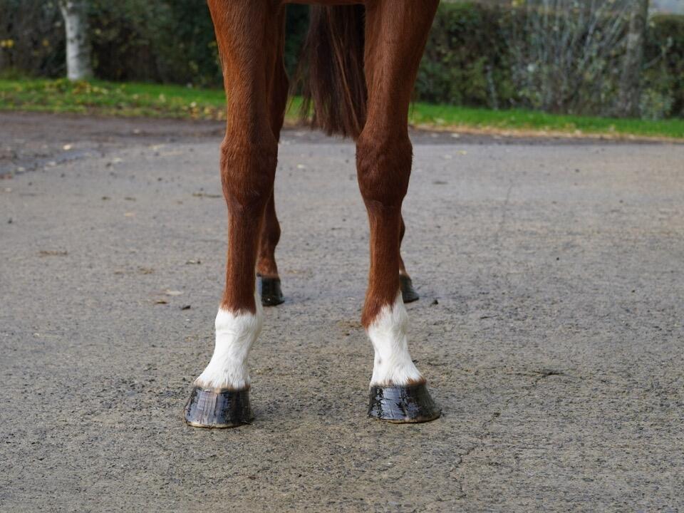 Lot 1320 Outoftheflames fronts Large