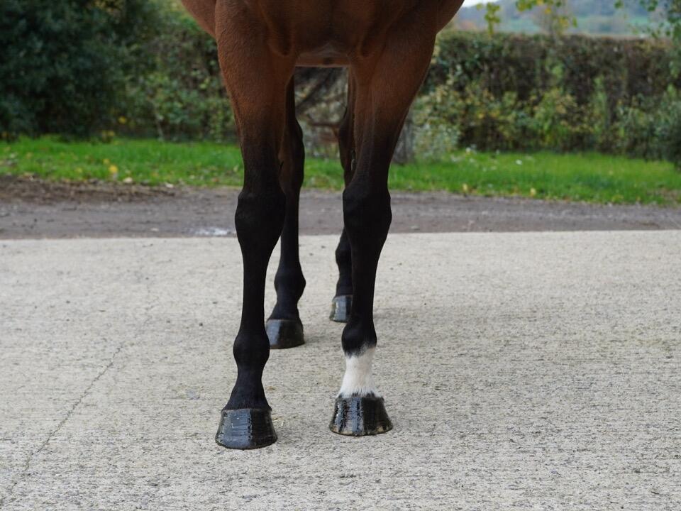 Lot 1592 Time Scale fronts Large