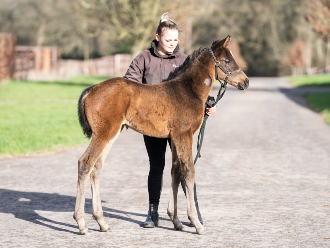 Screenshot 2025 10 24 at 11 39 58