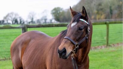 1663 Lucky Kristale head