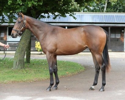 Charm Spiritx Stroll Patrol18filly190919 a5dh R Iy8 Yc