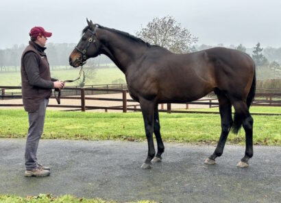 King of Change Emma Berry