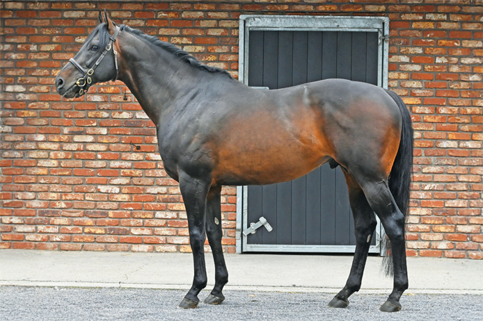 King Of Change 2 01 v1a 2026 01 02 164928 izzp