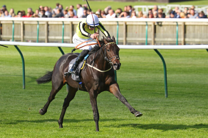 Wimbledon Hawkeye Gr 2 win