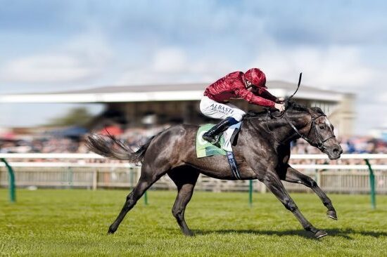 Roaring Lion Temporary Background