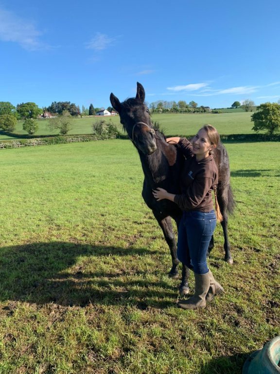 Alicia and Assembly yearling