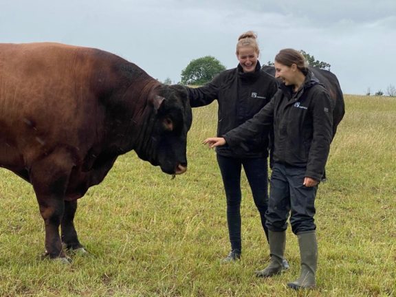 Anya and Alicia with bull