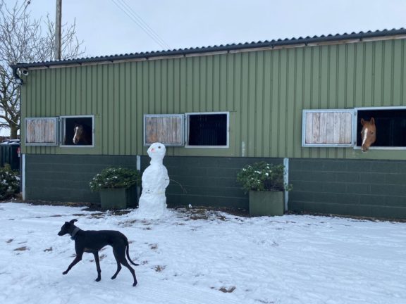 Anya snowman
