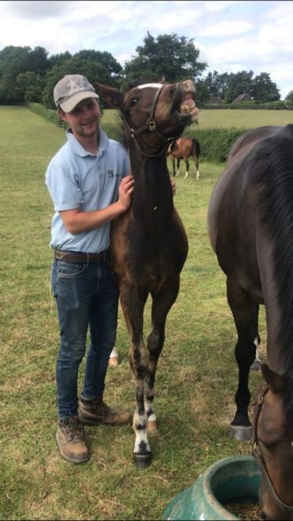 Barry foal