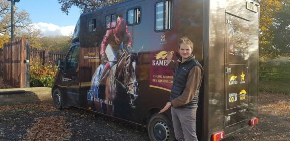 Ivo horsebox
