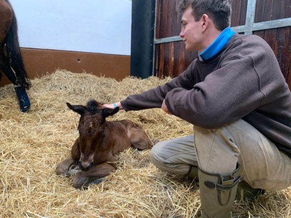 Lawrence and foal