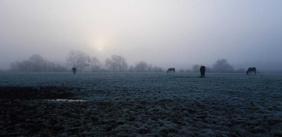 Tweenhills sunrise