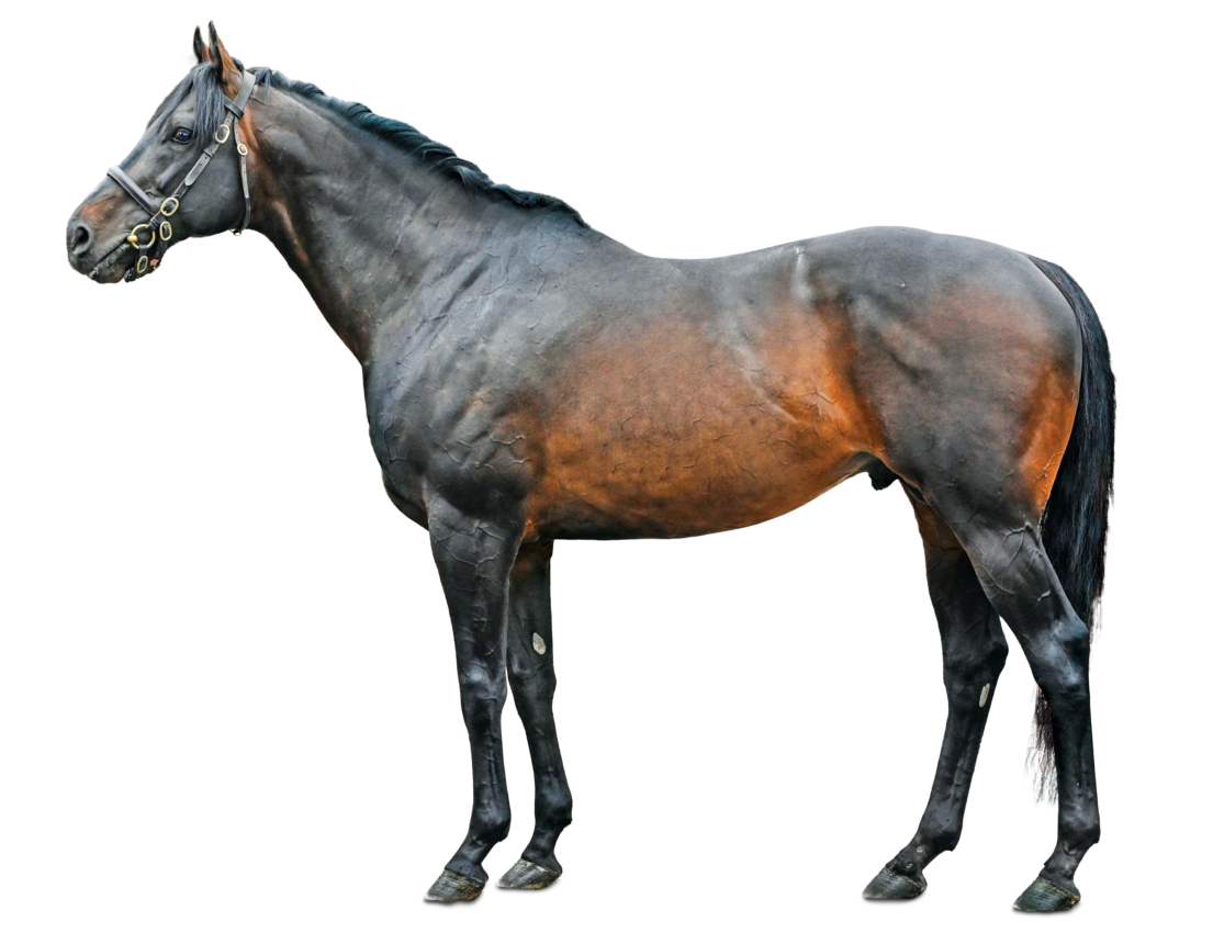 King Of Change 2 01 v1a background EDITED