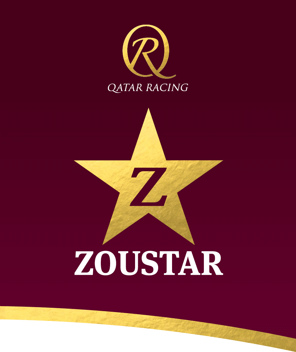 Zoustar Ribbon